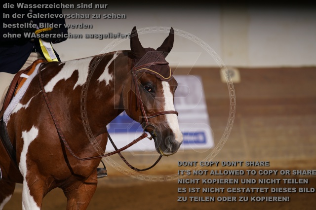 s_K3F01571.JPG